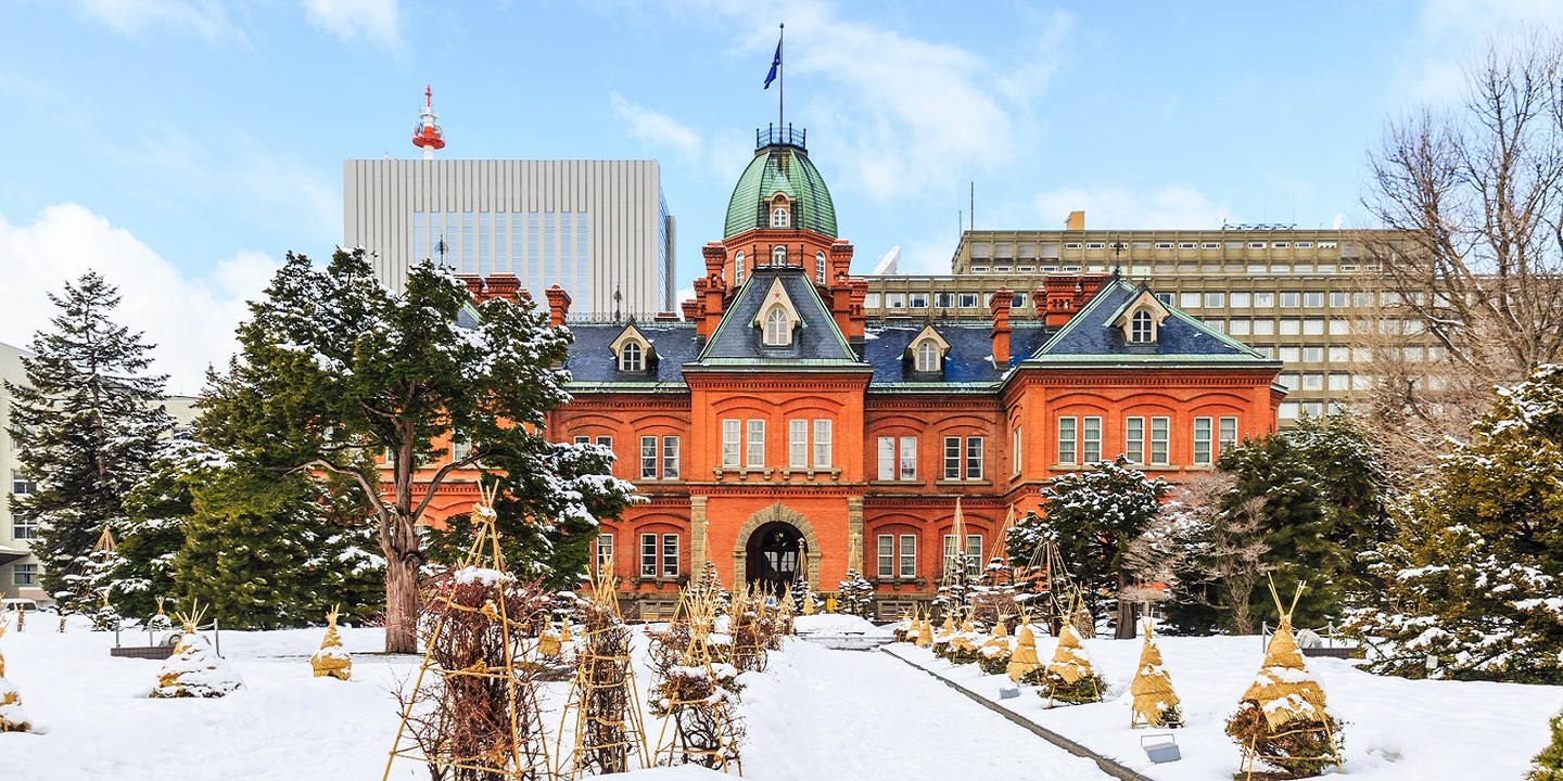 Sapporo Ice Festival - Winter Wonderland Experience in 2025