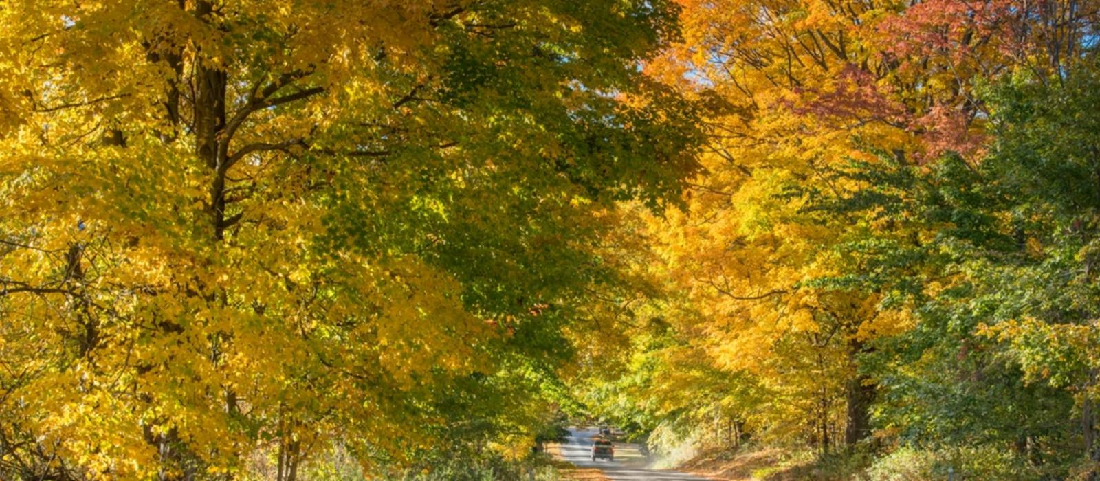 Reiseziel Manchester, Vermont in USA Enchanting Travels