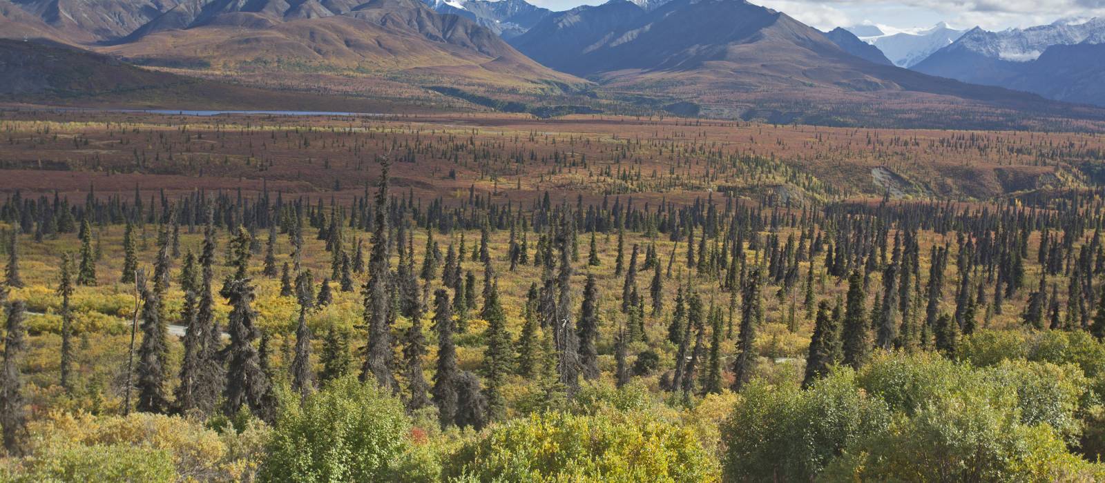 Exclusive Travel Tips for Your Destination Glennallen in Alaska