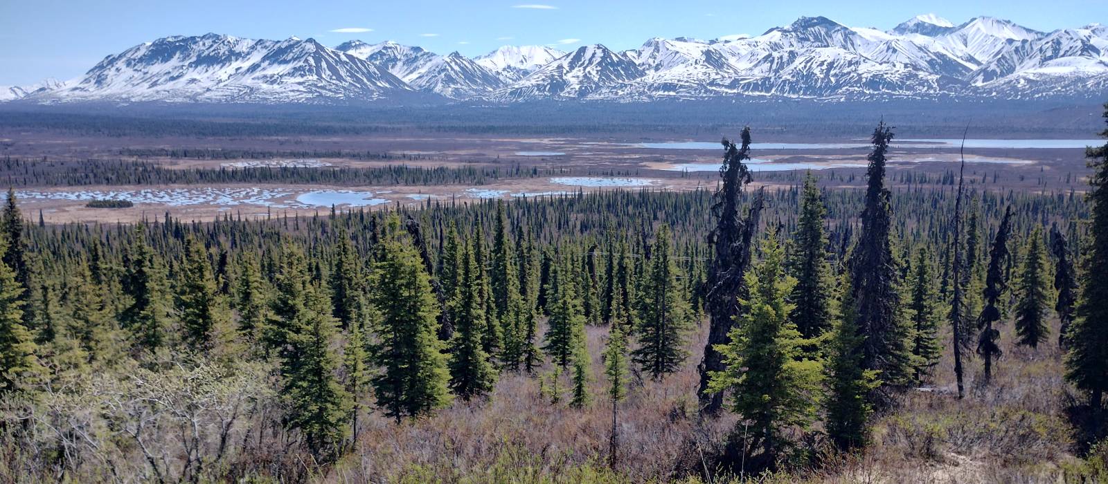 Exclusive Travel Tips for Your Destination Glacier View in Alaska