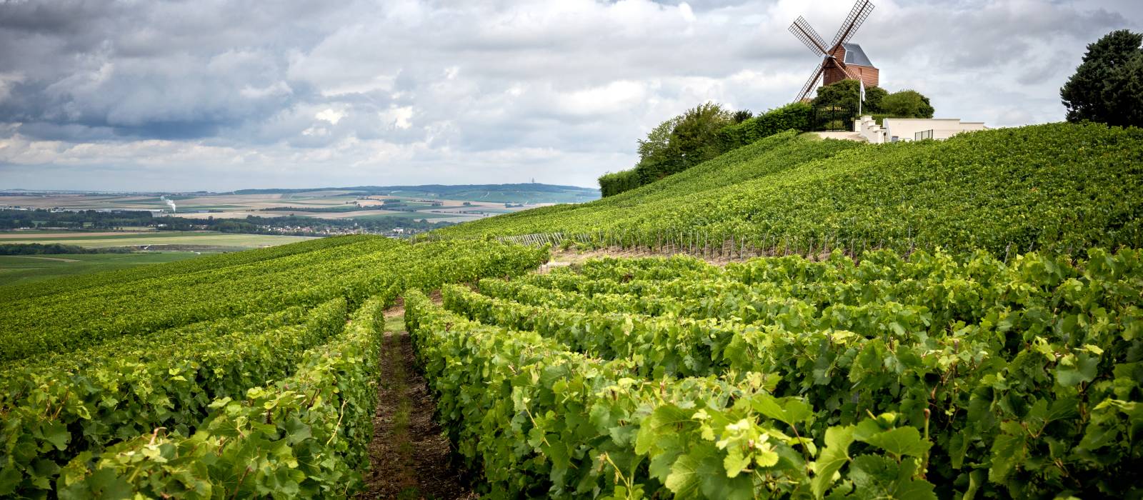 private tours champagne region france