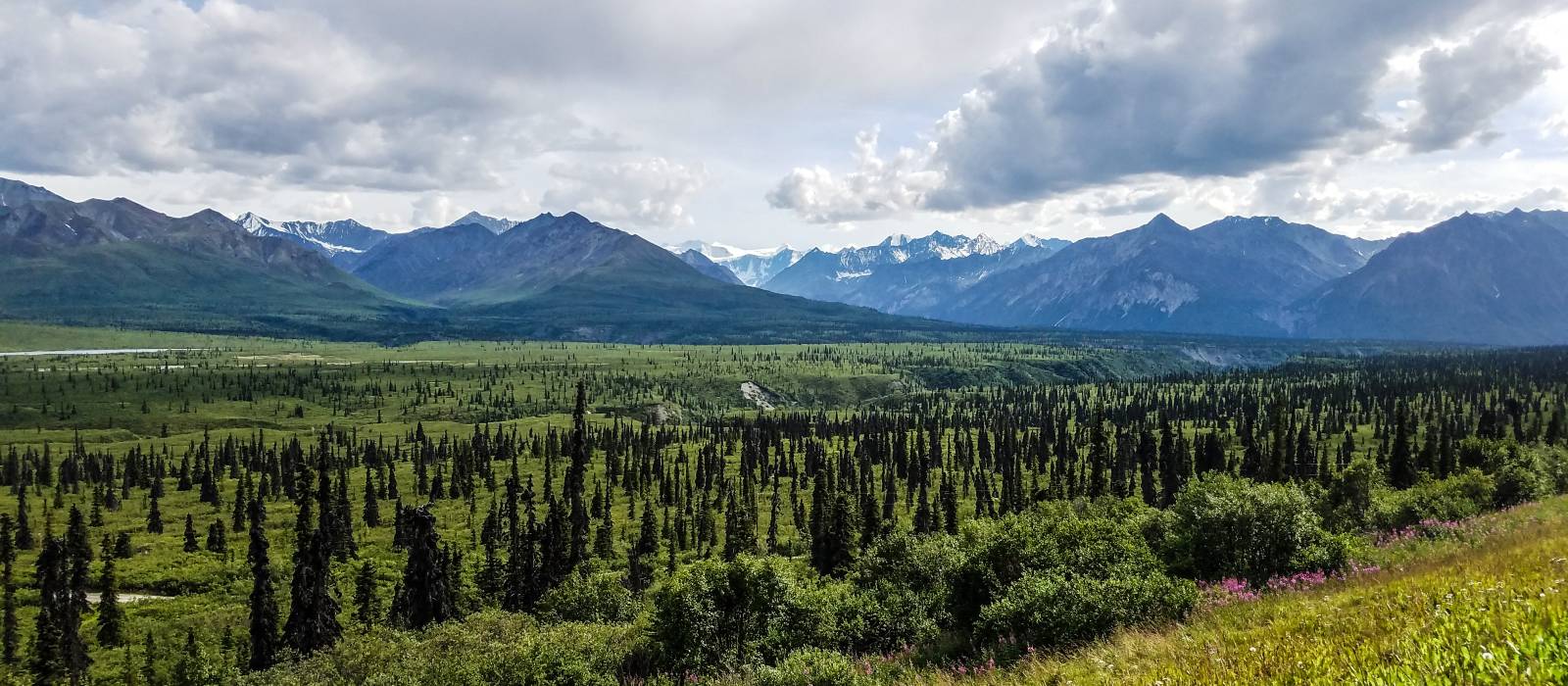 Reiseziel Tok in Alaska Enchanting Travels