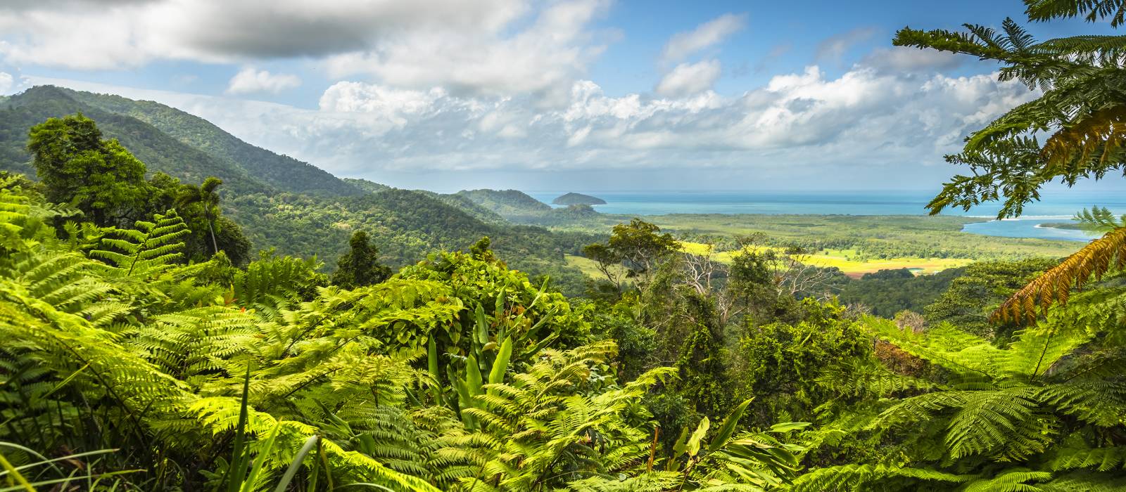 Daintree Rainforest Australien Individualreisen Enchanting Travels