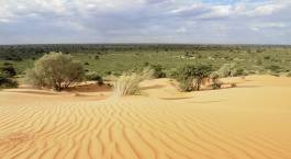 Does South Africa have a desert? Does South Africa have a desert?