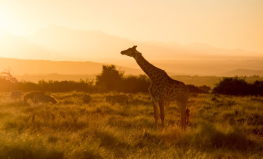 Südafrika Sehenswürdigkeiten