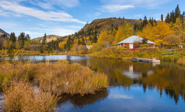 Best Time to Visit Alaska