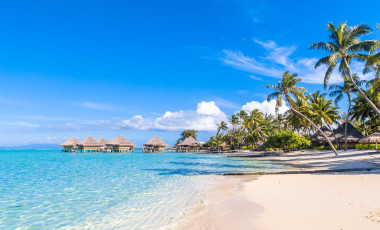 Best Things To Do in French Polynesia