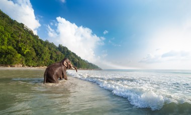 Beste Reisezeit Badeurlaub Indien