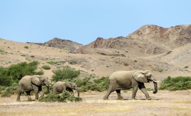 Namibia Sicherheit