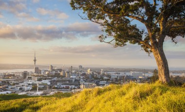 Best Time to Visit New Zealand