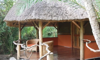 Wildlife & Safaris