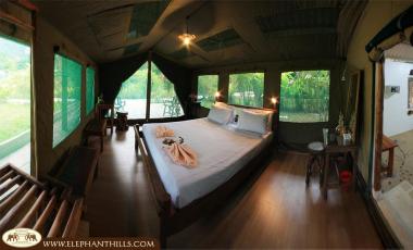 Wildlife & Safaris