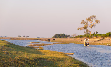 Best Time to Visit Botswana