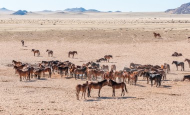 Namibia