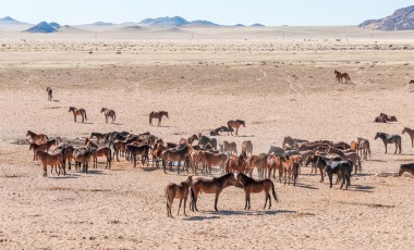 Namibia Sicherheit