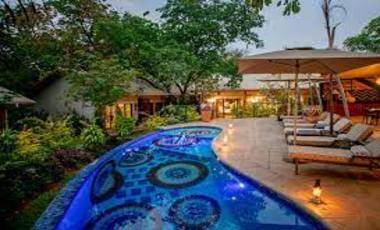 Wildlife & Safaris