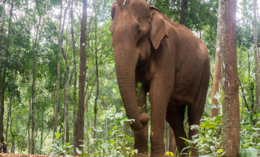 Best Time to Visit Cambodia