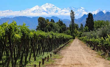 Best Time to Visit Argentina