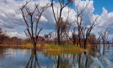 Best Time to Visit Kenya