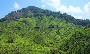 Malaysia Sehenswürdigkeiten