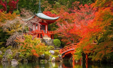 Best Time to Visit Japan