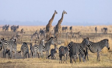 Is Tanzania Safe To Visit?