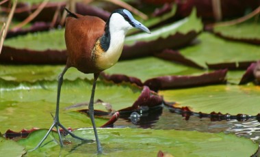 Namibia