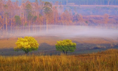 Beste Reisezeit ESwatini (Swasiland)