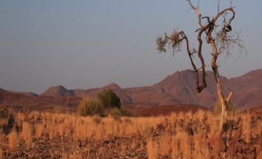 Best Time to Visit Namibia