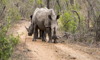 Beste Reisezeit ESwatini (Swasiland)