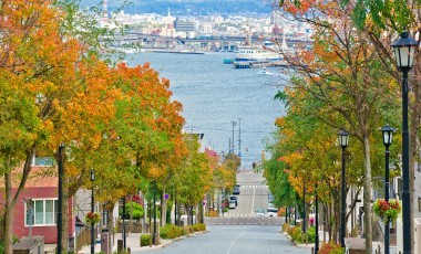 Best Things To Do in Japan