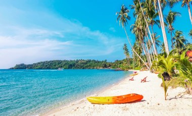 Best Time to Visit Vietnam