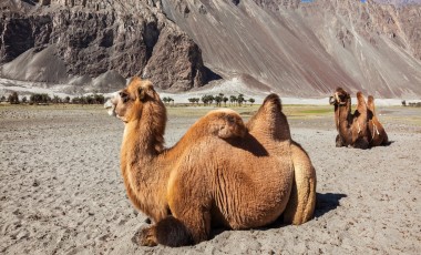 Beste Reisezeit Himalaya