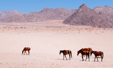 Namibia Reiseführer