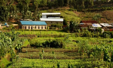 Rwanda Travel Guide