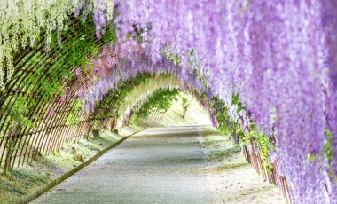 Japan Sehenswürdigkeiten