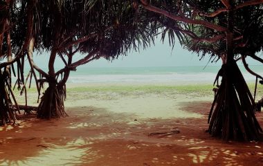 Enchanting Travels - Sri Lanka Tours - Lotus Villa Ayurveda Retreat - Beach