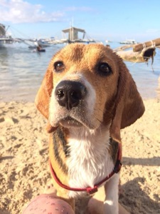 User Profile Image
