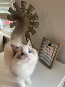 User Profile Image
