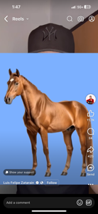 User Profile Image