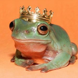 User Profile Image