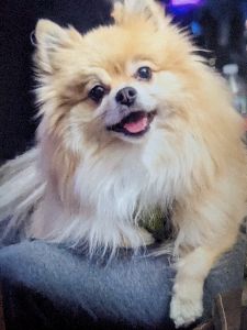 User Profile Image