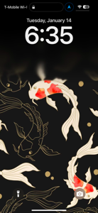 User Profile Image