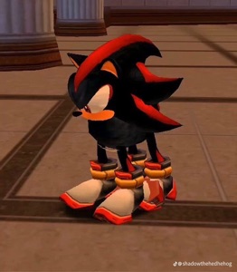 User Profile Image
