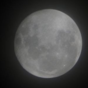 User Profile Image