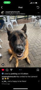 User Profile Image