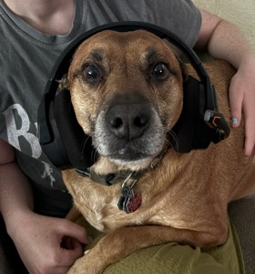 User Profile Image