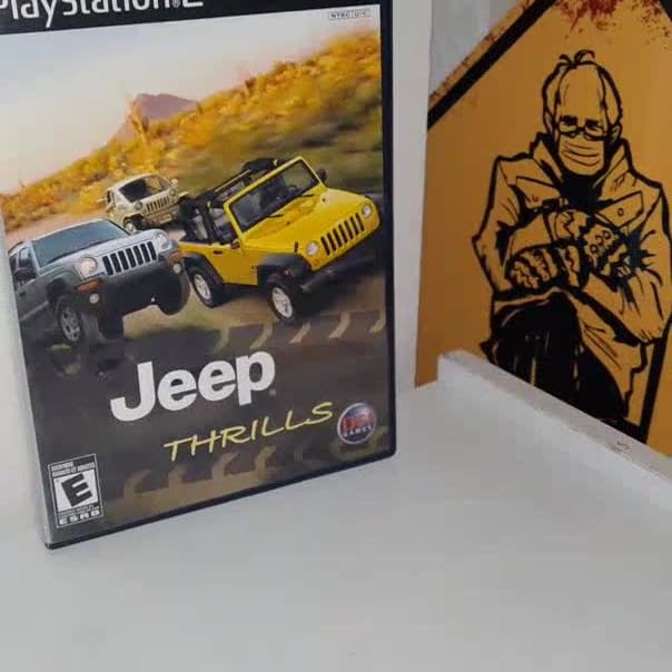 Video Thumbnail