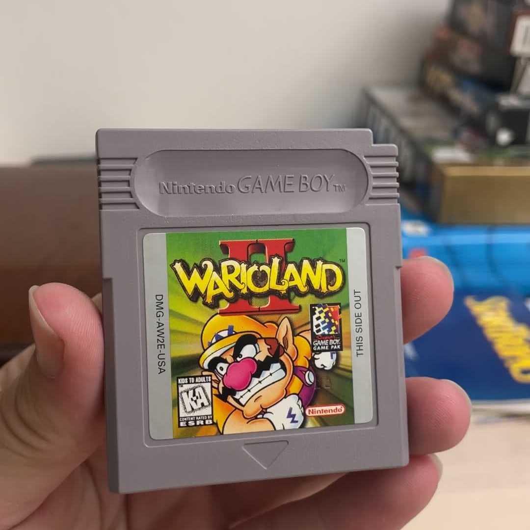 Video Thumbnail