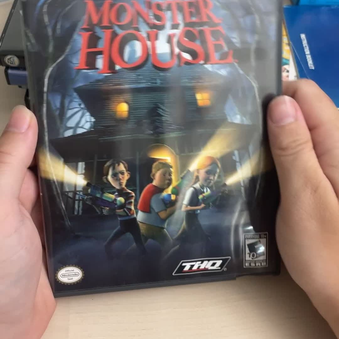 Video Thumbnail